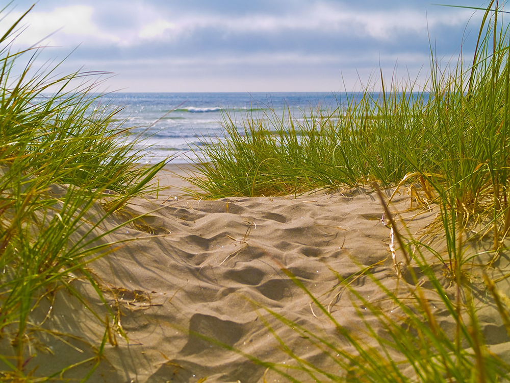 Beach Path